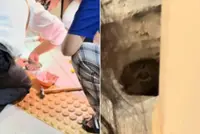 ‘Yishun spirit’: Residents in Singapore rally together to rescue kitten trapped in drain pipe