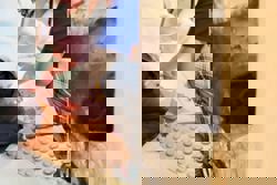 ‘Yishun spirit’: Residents in Singapore rally together to rescue kitten trapped in drain pipe