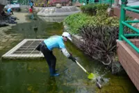 Hong Kong police probe pond cleaning operation that killed more than 100 fish