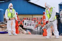 First FMD case in nine months confirmed in South Korea's Incheon