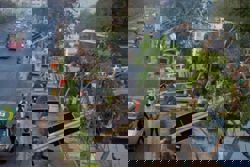 Truck in Thailand hits power lines, toppling 70 poles and causing widespread blackout