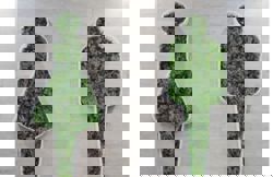 Toilets at Kota Kinabalu International Airport to get RM11.8mil upgrade