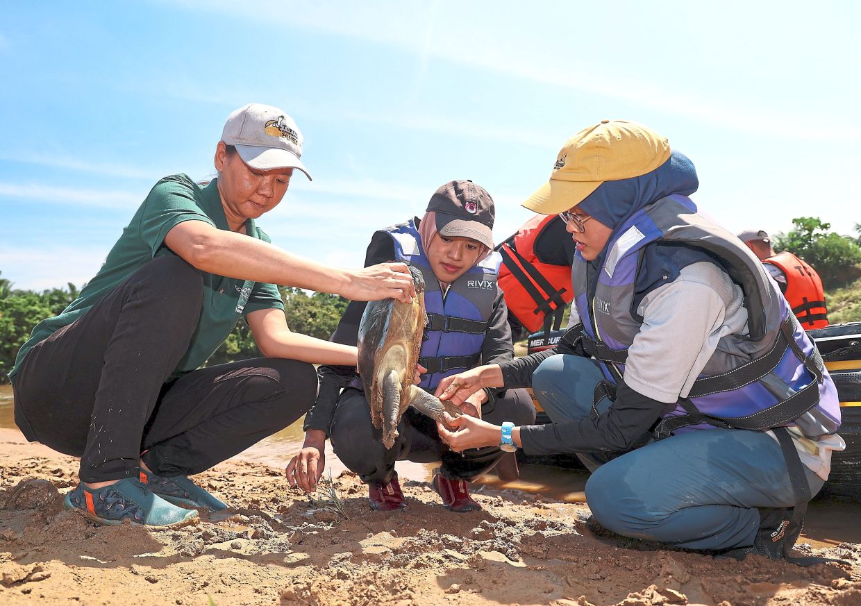 Calling changemakers, Star Social Impact Grant 2026 now open for applications