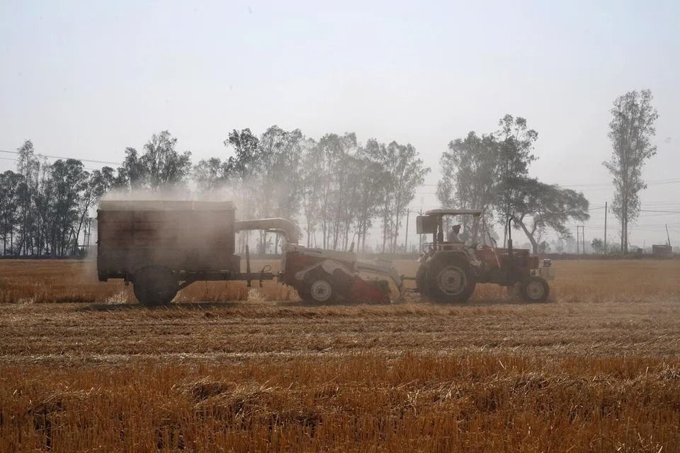India faces hotter, drier February, threatening winter crops