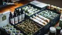 Over 7,000 cannabis shops close in Thailand due to stricter regulations and new law