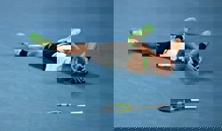 Tennis-Alcaraz outlasts Djokovic to complete career Grand Slam