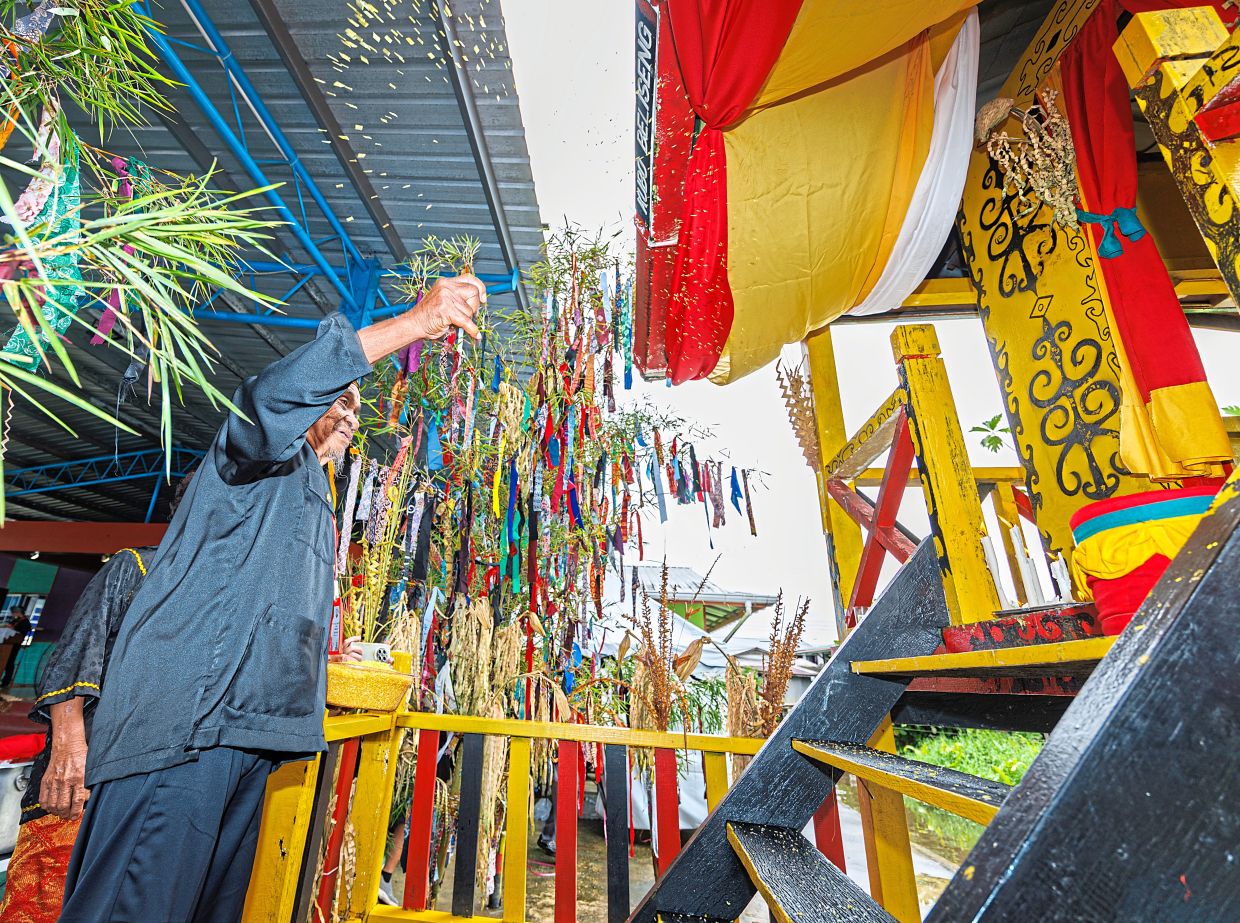 Abu scattering yellow rice at the start of the Kaul Medong festival.