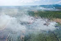 Tube wells may be used against peatland fire