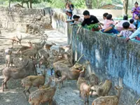 Yangon zoo turns 120