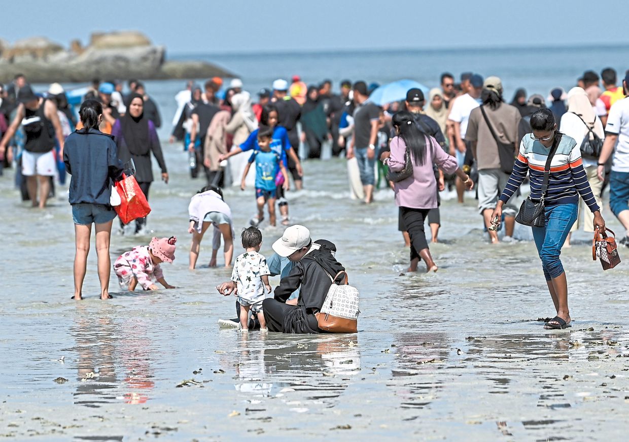 Rare &lsquo;split sea&rsquo; lures thousands to Pangkor