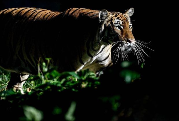 Sorry! Image not available at this time