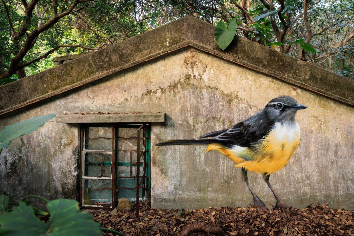 A flock of bird murals roost on the forgotten walls of a Hong Kong island