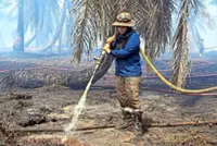 Long, arduous fight to win