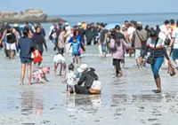 Rare ‘split sea’ lures thousands to Pangkor