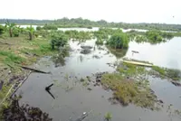 Seven Ramsar sites a source of pride