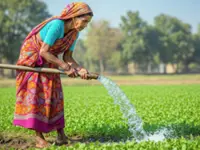India to spend less on fertiliser subsidy next year
