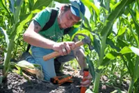 India to ramp up purchases of US oil, arms, aircraft; open some farm access