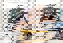 Reset your brain with a nap