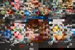 Canine prodigies can develop vocabularies, just like toddlers