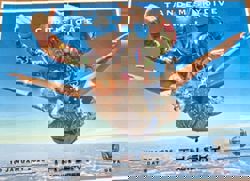 Heart And Soul: Skydiving at 62, leaping into lifelong dreams