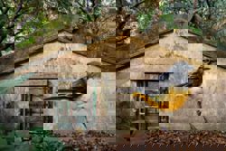 A flock of bird murals roost on the forgotten walls of a Hong Kong island