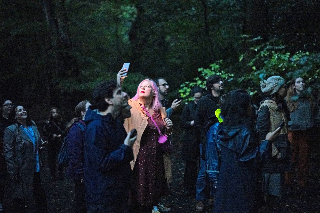 Participants in one of Blaney’s nighttime bat walks in Highgate Wood.