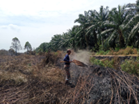 Efforts to put out Kuala Langat forest fire now into second day