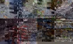 Five hectares of forest at Penang Botanical Gardens go up in flames