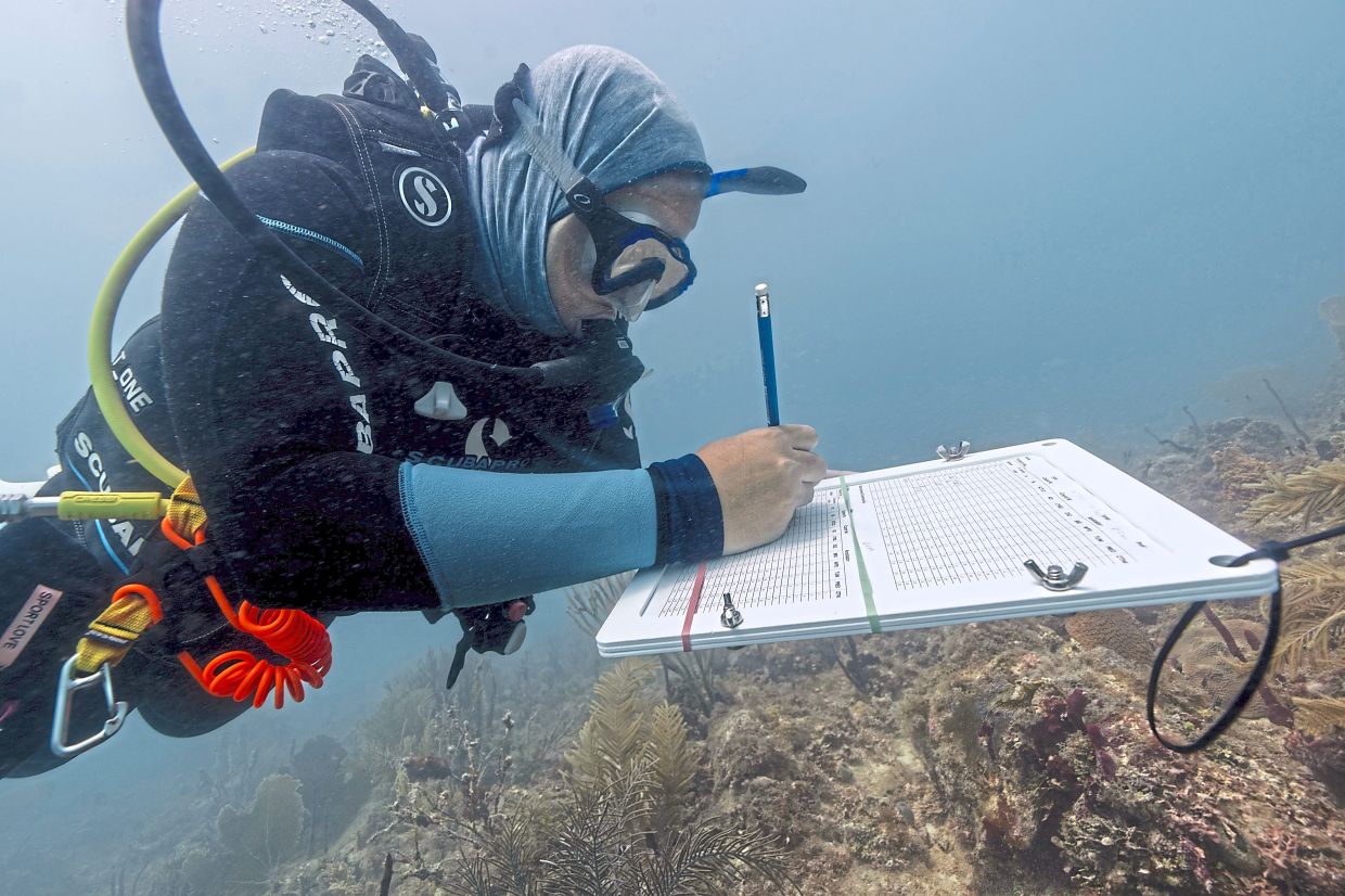 Laboratory coordinator Estefany Vargas conducts observations and takes measurements on the physical state of corals.