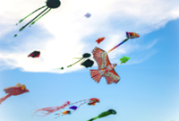 Perlis to host World Kite Festival Feb 10-11