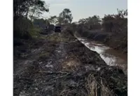 Banting forest fire: 19ha extinguished as operations enter third day