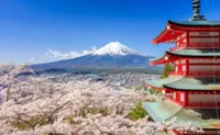 Japan's Mount Fuji cherry blossom festival cancelled due to overtourism