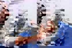 Does your pet have a food allergy? Here are the signs to look out for