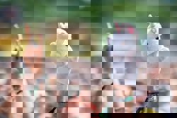 Why do we love unicorns so much? From ancient myths to pop culture