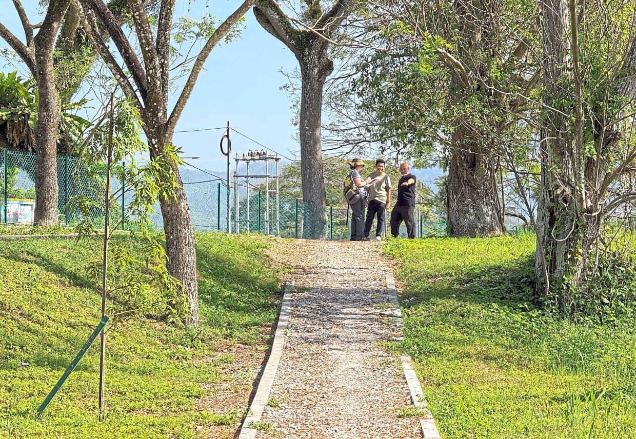 Tambun park doubles as sponge basin for Perak