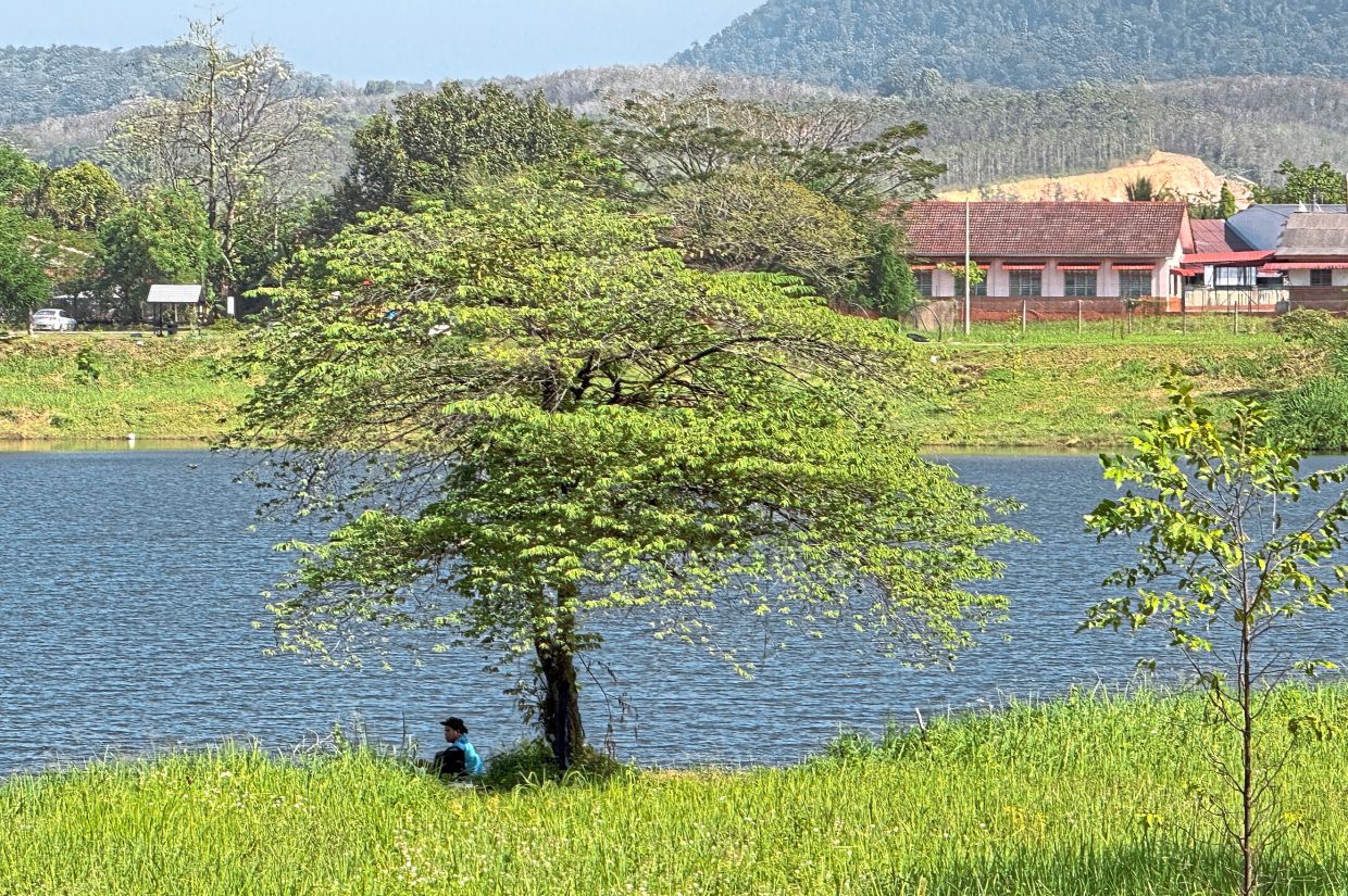The former tin mine is now a flood retention pond and the tall grass which is allowed to grow helps anchor the soil.