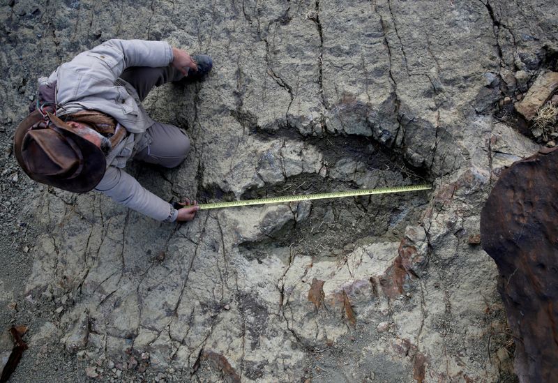 New AI method helps identify which dinosaur made which footprints