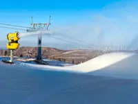 Search for elusive snow