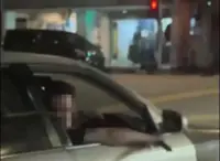 Suspect caught on camera wielding a machete arrested