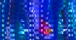 Warning signs for pancreatic cancer