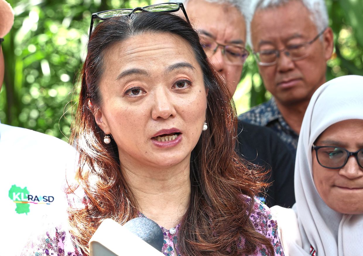 Yeoh says a task force will work towards gazetting 256 plots of land as green and open spaces.
