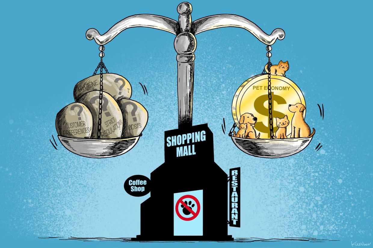 Is Hong Kong barking up the wrong tree with dog-friendly restaurants?