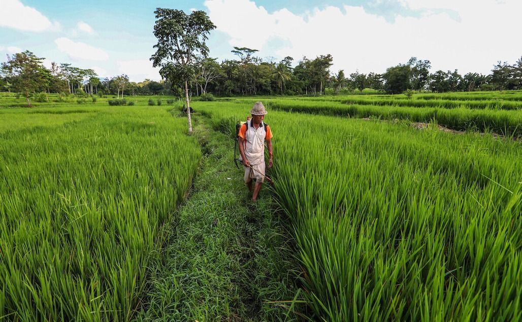 Agri-food sector engine of economic development: Brunei Chamber of Commerce