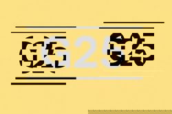 G25 voices concern over rally on ‘illegal’ houses of worship, urges restraint and safeguards