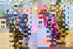 India rejects any allegations of involvement in Pakistan bombing, foreign ministry says