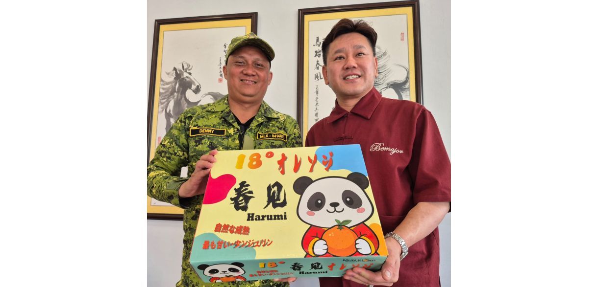 Malaysian automotive industry leader supports ruling to ban 'hidden' car door handles