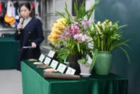 23 cases of smuggled orchids recorded as holiday demand swells in Hong Kong