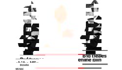 Alliance faultlines emerge