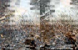 Two small explosions detected during Muar peat fire ops, say Johor cops