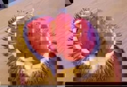 Borneo's 'Durian Merah' can be the next big thing if developed properly, says Kuamut rep